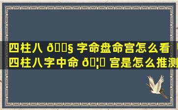 四柱八 🐧 字命盘命宫怎么看「四柱八字中命 🦁 宫是怎么推测的」